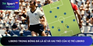 Libero Trong Bóng Đá Là Gì